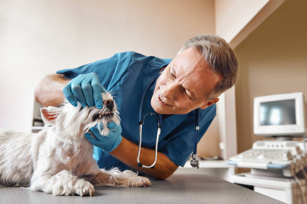 Best Emergency Tooth Extraction  in Key West, FL